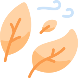 پاییز 1402
